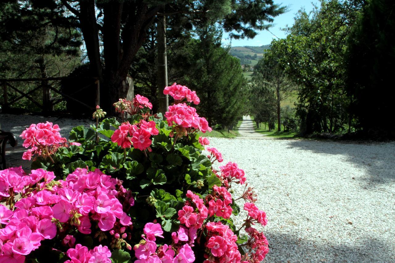 Agriturismo Villa Mozart Nel Verde Gubbio Exterior photo
